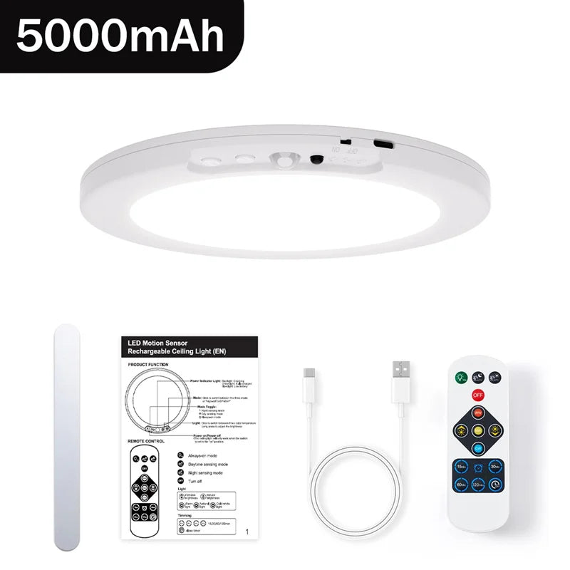 LumaSense™ Smart Motion Ceiling Light