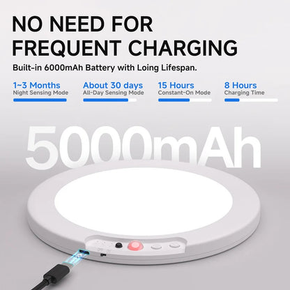 LumaSense™ Smart Motion Ceiling Light