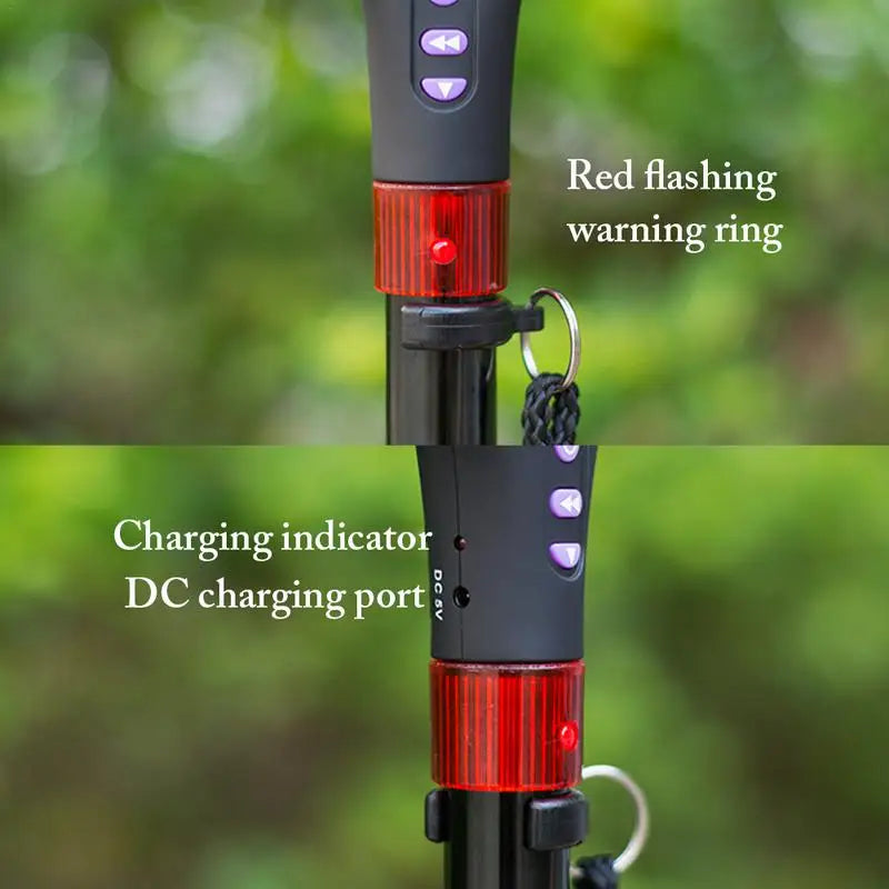 SafeStep Guardian Cane